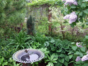 DSCF5498.JPG