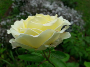 20180825_133812.jpg