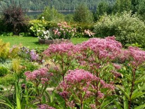 IMG_20180824_143843_HDR.jpg