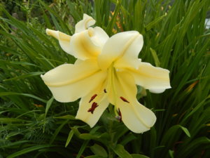 DSCN7730.JPG