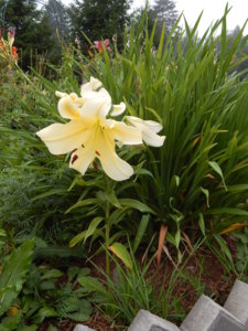 DSCN7731.JPG