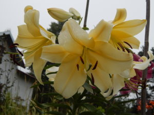 DSCN7745.JPG