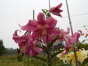 DSCN7747.JPG