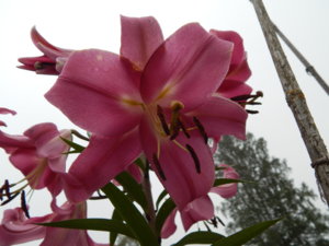 DSCN7748.JPG
