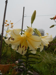 DSCN7749.JPG