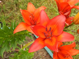 DSCN7772.JPG