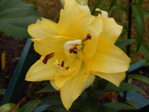DSCN7775.JPG