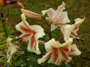 DSCN7776.JPG