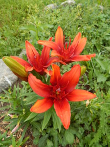 DSCN7790.JPG