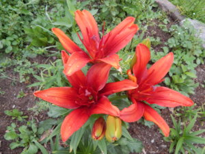 DSCN7792.JPG