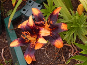 DSCN7769.JPG