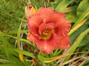DSCN7756.JPG