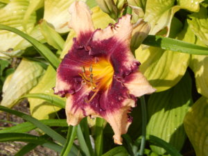 DSCN7859.JPG