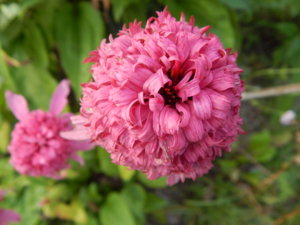 DSCN7944.JPG