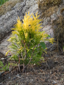 DSCN7977.JPG