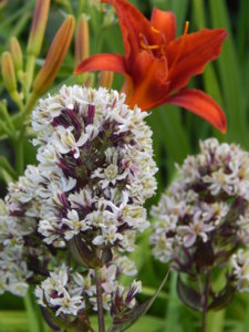 DSCN8036.JPG