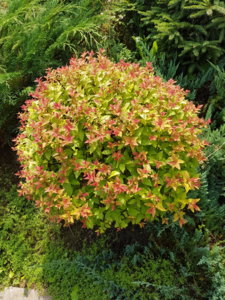 20180814_105616.jpg