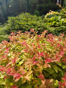 20180814_105533.jpg