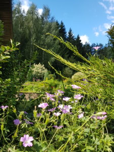 20180807_104818.jpg