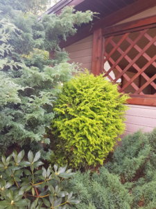 20180807_105355.jpg