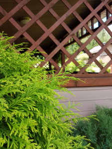 20180807_105431.jpg