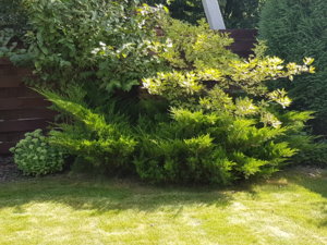 20180807_104942.jpg