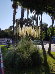 20180820_101155.jpg