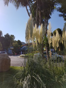 20180820_101208.jpg