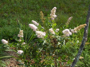 DSCN8143.JPG