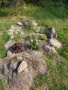 DSCN8151.JPG