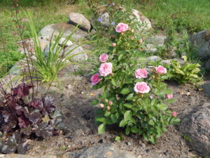 DSCN8152.JPG