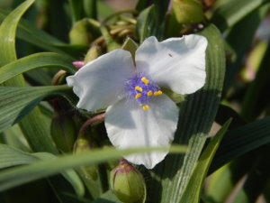 DSCN8157.JPG