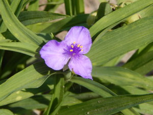 DSCN8159.JPG