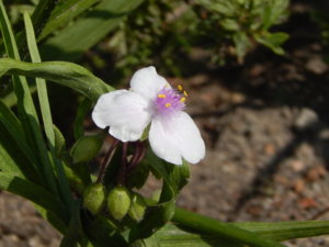 DSCN8162.JPG