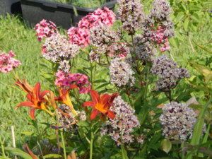 DSCN8168.JPG
