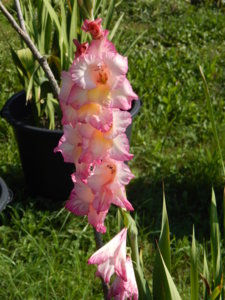 DSCN8093.JPG