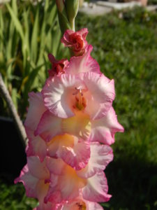 DSCN8094.JPG