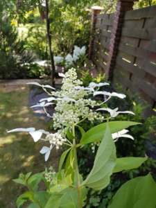 20180807_113613.jpg