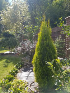 20180807_114558.jpg