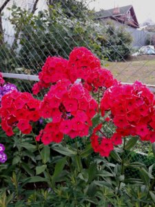 IMG_20180901_220256.jpg