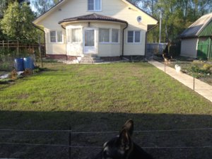 IMG_2868.jpg