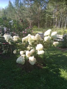 2018-08-27 10-10-41.JPG