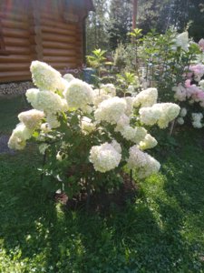 2018-08-27 10-11-38.JPG