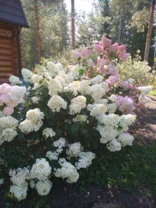2018-08-27 10-12-06.JPG