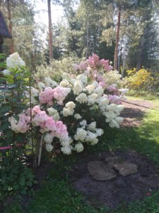 2018-08-27 10-11-50.JPG