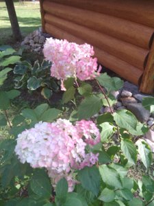 2018-08-27 10-16-11.JPG