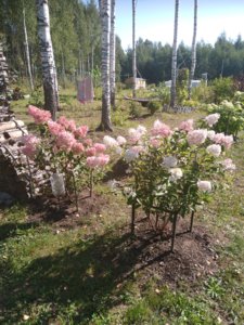 2018-08-27 10-18-21.JPG