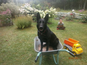 P8170123.JPG