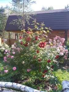 2018-08-27 10-28-53.JPG