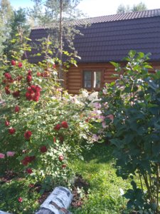 2018-08-27 10-29-03.JPG